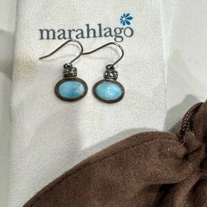 Chic Blue Oval Earrings